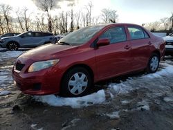 Toyota Corolla Base Vehiculos salvage en venta: 2010 Toyota Corolla Base