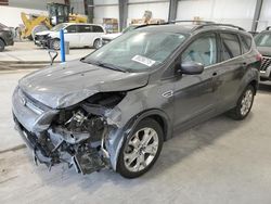 Salvage Cars with No Bids Yet For Sale at auction: 2015 Ford Escape SE