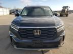 2023 Honda Pilot EXL