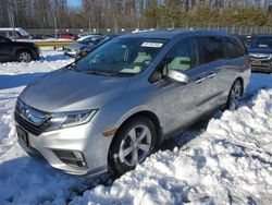 Honda Odyssey exl salvage cars for sale: 2019 Honda Odyssey EXL