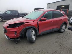 Ford salvage cars for sale: 2020 Ford Escape SE