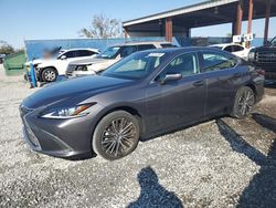 Salvage cars for sale at Riverview, FL auction: 2023 Lexus ES 350 Base