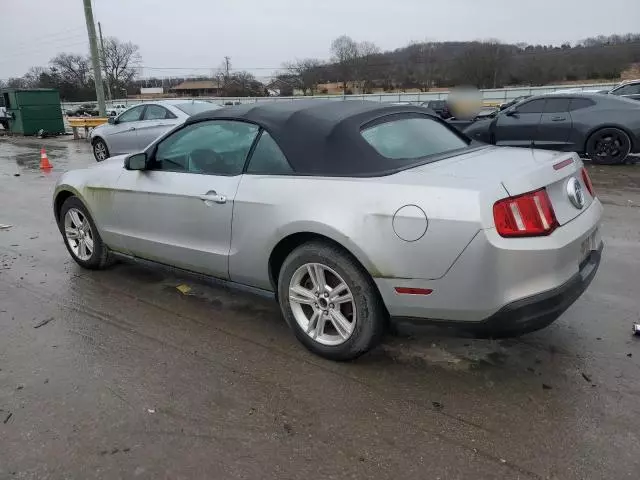 2010 Ford Mustang