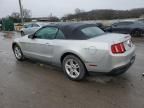 2010 Ford Mustang