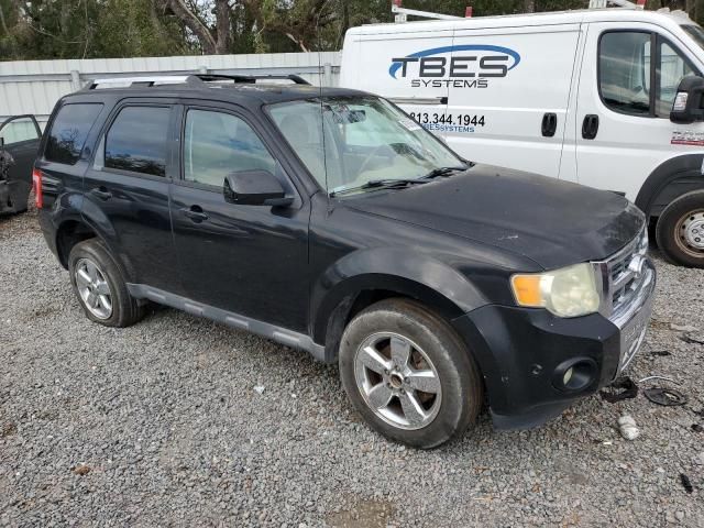 2010 Ford Escape Limited