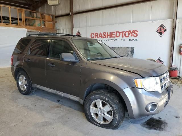 2009 Ford Escape XLT