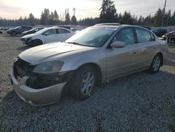 Nissan salvage cars for sale: 2006 Nissan Altima S