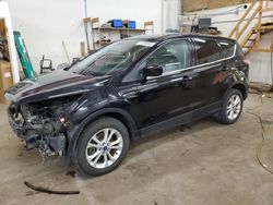 Salvage cars for sale at Ham Lake, MN auction: 2017 Ford Escape SE