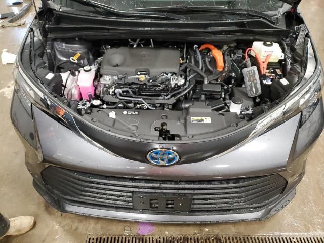 2025 Toyota Sienna XLE