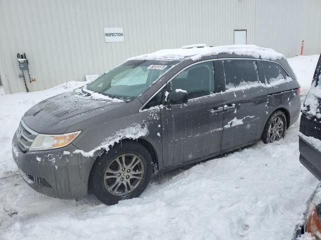 2011 Honda Odyssey EXL