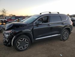 Salvage Cars with No Bids Yet For Sale at auction: 2023 Hyundai Santa FE Limited