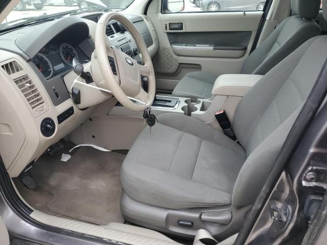 2009 Ford Escape XLT