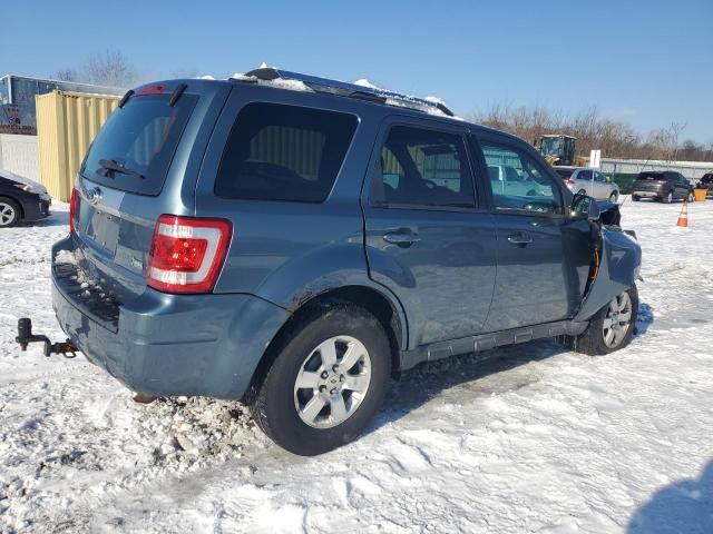 2010 Ford Escape Limited