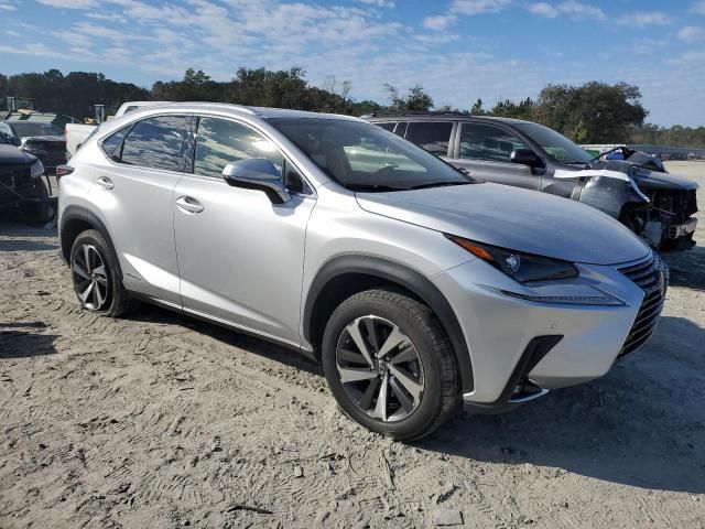 2019 Lexus NX 300H