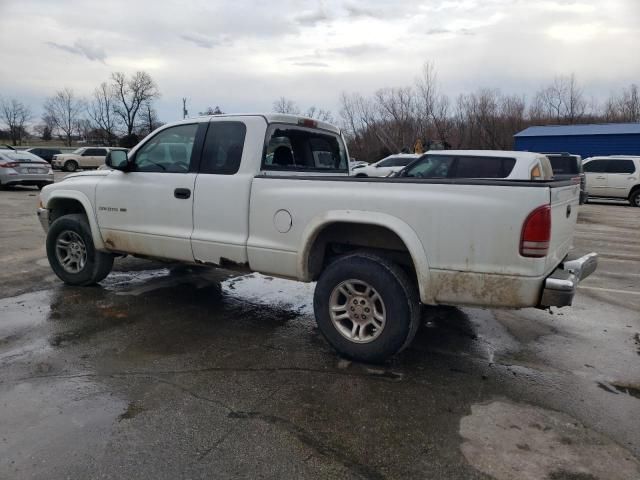 2001 Dodge Dakota