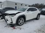 2021 Lexus UX 250H