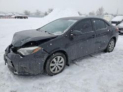 Salvage cars for sale from Copart Ontario Auction, ON: 2015 Toyota Corolla L