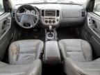 2007 Ford Escape XLT