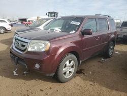 Salvage cars for sale at Brighton, CO auction: 2009 Honda Pilot EX