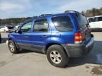 2005 Ford Escape XLT