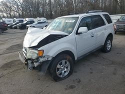 Salvage cars for sale at Glassboro, NJ auction: 2010 Ford Escape Limited