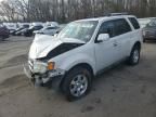 2010 Ford Escape Limited