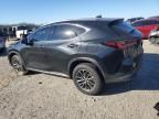 2024 Lexus NX 350H Base