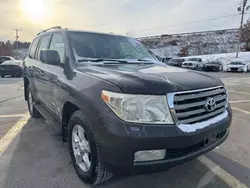 Toyota Land Cruiser salvage cars for sale: 2008 Toyota Land Cruiser