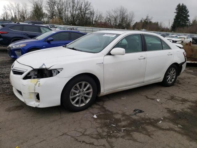 2010 Toyota Camry Hybrid