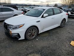 Salvage cars for sale at Arlington, WA auction: 2019 KIA Optima LX