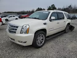 Salvage cars for sale at Memphis, TN auction: 2014 Cadillac Escalade ESV Platinum