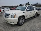 2014 Cadillac Escalade ESV Platinum