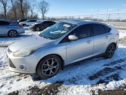 Salvage cars for sale at Cicero, IN auction: 2013 Ford Focus SE