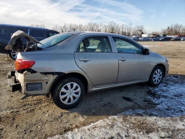 2010 Toyota Corolla Base