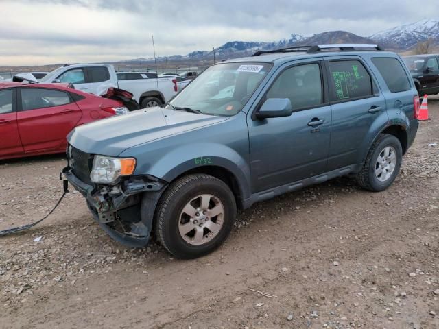 2012 Ford Escape Limited