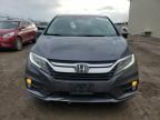 2019 Honda Odyssey EXL