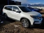 2019 Honda Pilot EXL