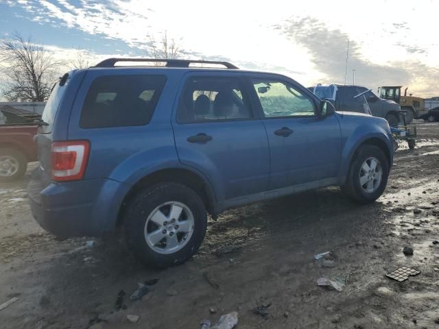 2009 Ford Escape XLT