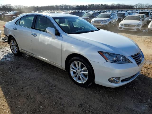 2010 Lexus ES 350