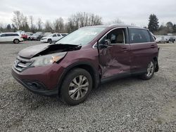 Salvage cars for sale at Portland, OR auction: 2014 Honda CR-V EXL