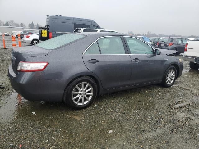 2010 Toyota Camry Hybrid