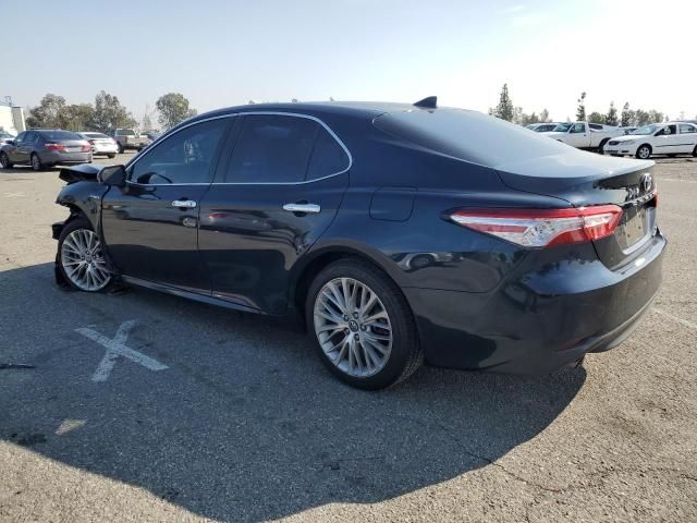 2019 Toyota Camry Hybrid