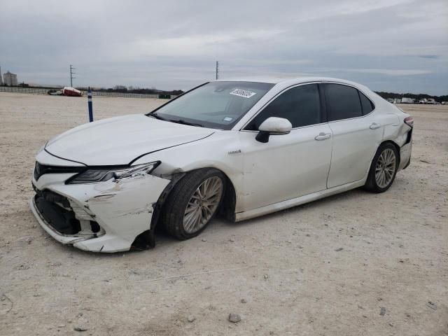 2019 Toyota Camry Hybrid