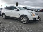 2013 Cadillac SRX Premium Collection