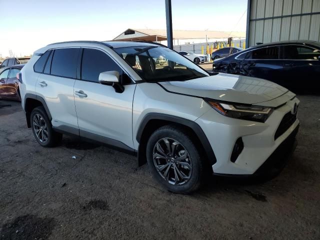 2024 Toyota Rav4 XLE Premium