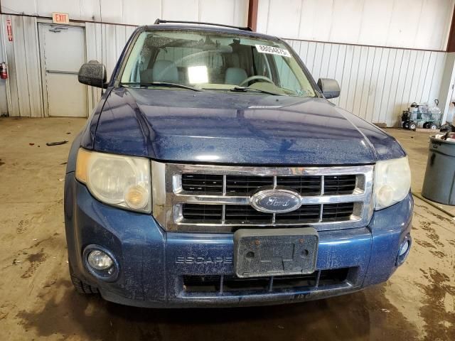 2008 Ford Escape XLT