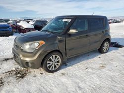 KIA Vehiculos salvage en venta: 2013 KIA Soul +