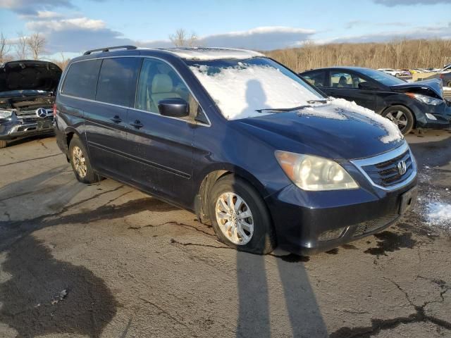 2008 Honda Odyssey EXL