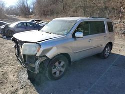 Honda Pilot salvage cars for sale: 2011 Honda Pilot Exln