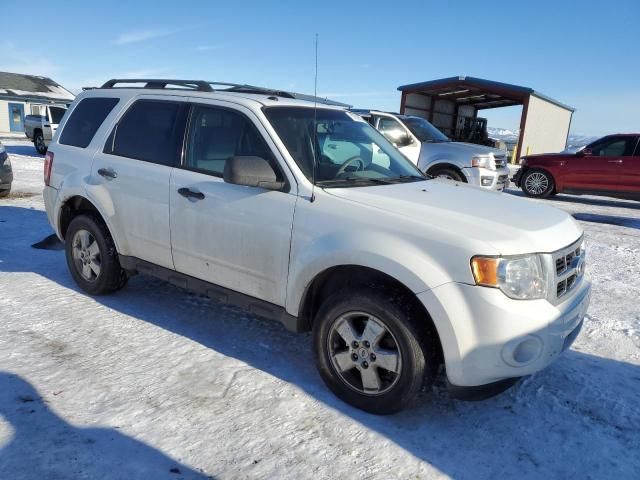 2010 Ford Escape XLT